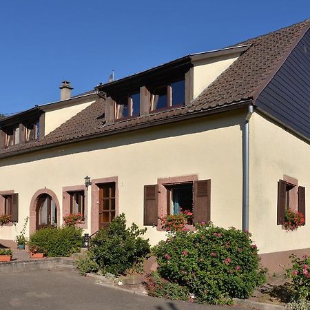 Apartamento Au Gre Des Saisons Thannenkirch Exterior foto
